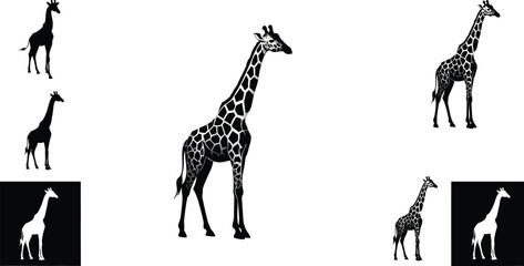 Naklejka premium Giraffe silhouette vector illustration with black and white contrast showcasing animal shape and pattern 