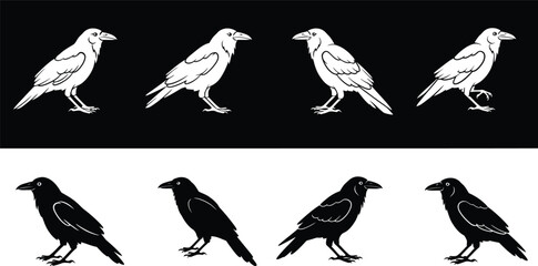 Fototapeta premium Raven head profile illustrations black and white bird feathers detailed vector design collection 
