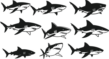 Fototapeta premium Great white shark vector set with various poses and angles in black and white design for ocean and wildlife themes 