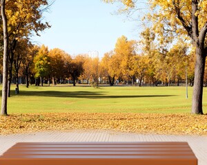 Autumnal park scene; wooden bench in foreground, vibrant yellow leaves scattered on ground, green lawn, and golden trees in background under a clear sky