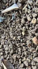 stone wall background