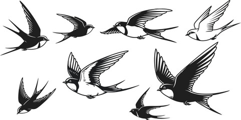 Obraz premium Swallows in flight set with detailed feathers and red face markings flying in various dynamic poses vector illustration 