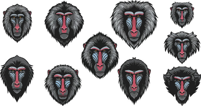 Baboon face illustrations showing various facial expressions in black and red color vector collection for wildlife design 