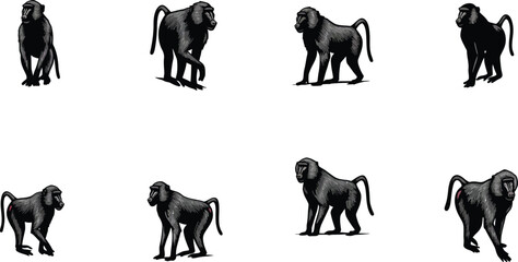 Obraz premium Baboon vector illustrations showing different poses and angles of baboons in natural standing and sitting positions 