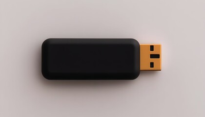 A black rectangular USB flash drive with a gold connector sits on a white background