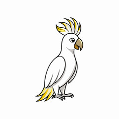 parrot on a white background