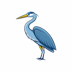 Obraz premium great blue heron