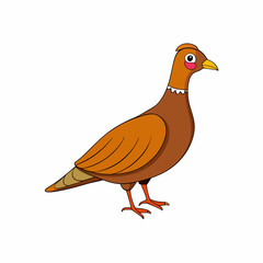 duck isolated on white