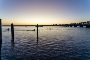 Fototapeta premium Old mooring posts in Tauranga harbour