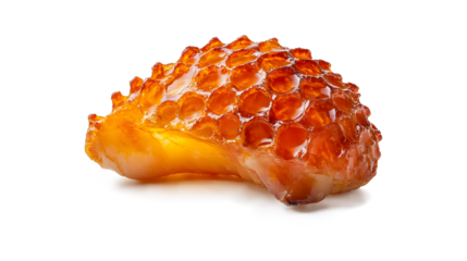 Roasted pork knuckle crispy golden skin cross hatched pattern glistening juicy meat