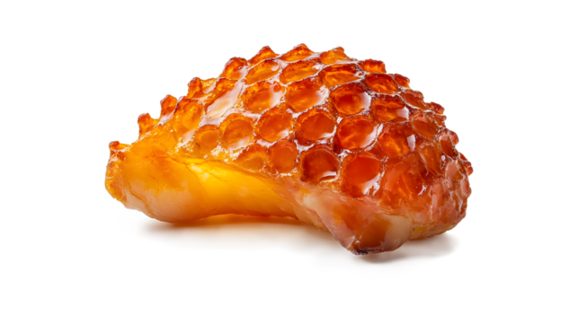 Roasted pork knuckle crispy golden skin cross hatched pattern glistening juicy meat