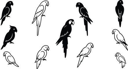 Obraz premium Parrots and Cockatoos Collection Vector Illustration Featuring Various Bird Species in Black and White Detailed Style 