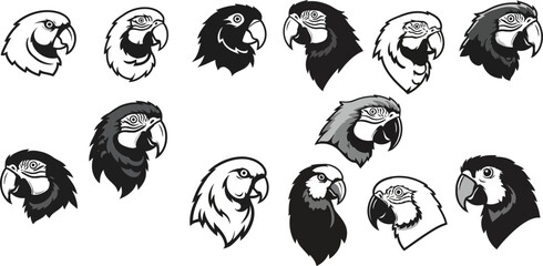 Sparrow bird head vector set with multiple angles and detailed monochrome illustration for nature and wildlife designs 