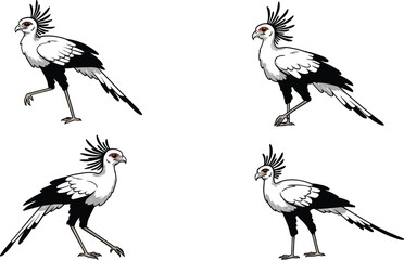 Naklejka premium Secretary Bird Walking and Standing in Different Poses Vector Illustration with Black and White Colors 
