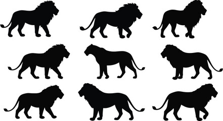 Naklejka premium Silhouettes of Lion and Lioness Walking and Standing in Various Poses Vector Illustration for Wildlife and Nature Designs 