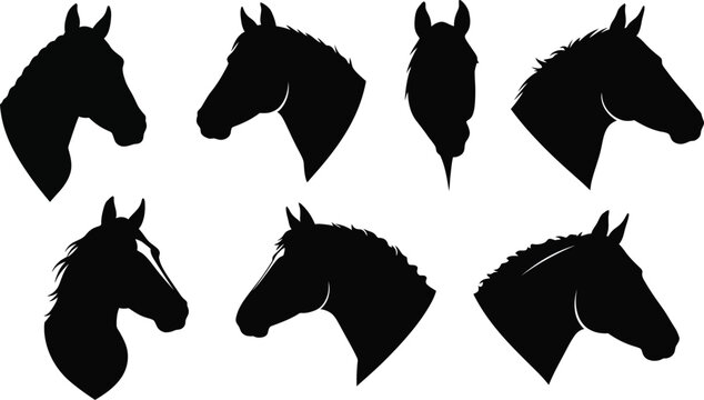 Horse head silhouettes vector set with seven black equine profiles in various angles and styles 