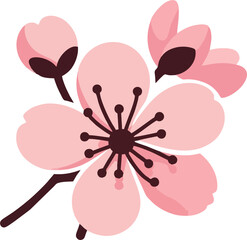 Elegant Sakura Flower Head Vector Isolated on Transparent Background for Spring Designs
