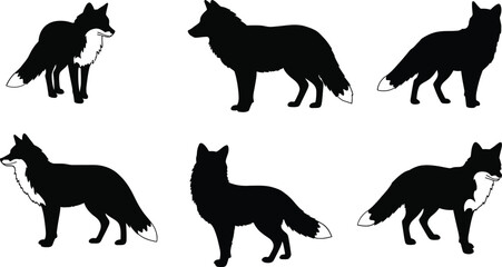 Fototapeta premium Silhouettes of Foxes in Various Poses Black Vector Illustration for Wildlife and Nature Design Elements 