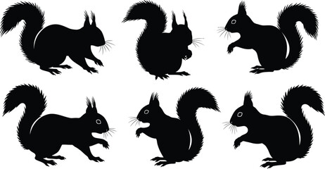 Silhouettes of squirrels in various dynamic poses black vector illustration for nature and wildlife themes 