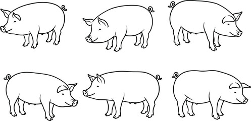 Pig farm animals black and white vector line art with different poses and angles illustration 