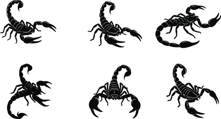 Scorpion silhouette vector illustration showing six black scorpions in different poses and angles 