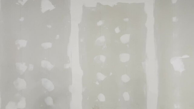 Gypsum board wall partition cement board