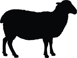 Sheep silhouette, Lamb standing silhouette, Sheep black icon vector