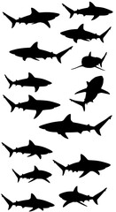 Fototapeta premium Shark Silhouettes: A Monochrome Ocean Study AI Generated