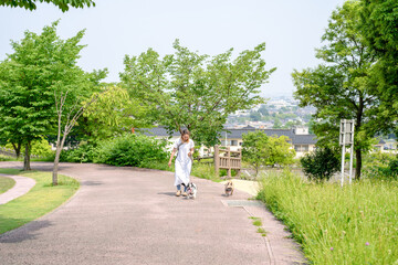 On a summer morning in a park with blooming hydrangeas, a Japanese woman in her 30s walks two French Bulldogs. Surrounded by flowers and trees, they stroll along quiet paths under soft morning light.
