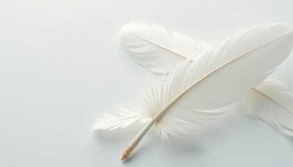 Obraz premium Close-up of pristine white feathers against a bright backdrop , texture, smooth, white background