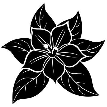 A chameli silhouette on white background