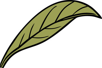green leaf isolated on white