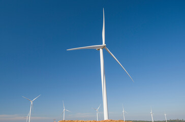 wind turbine in the wind