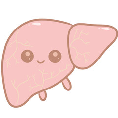 Cartoon anatomy liver cute pastel