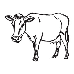Cow Silhouette icon illustration Vector White Background. Dairy cattle or dairy cow icon