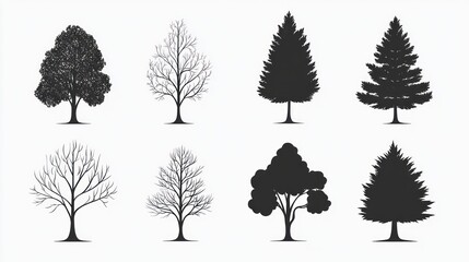 Tree Silhouettes Vector Illustration