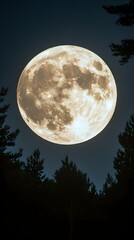 Full moon rising over dark silhouette of trees