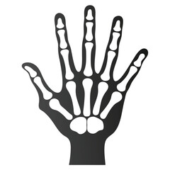 Isolated skeletal hand reveals bones against a white backdrop with transparent background