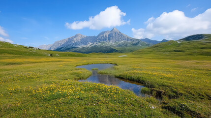 Fototapeta premium Lush meadow with wildflowers and serene pond, surrounded by majestic mountains
