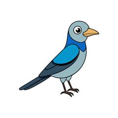 blue bird isolated on white background