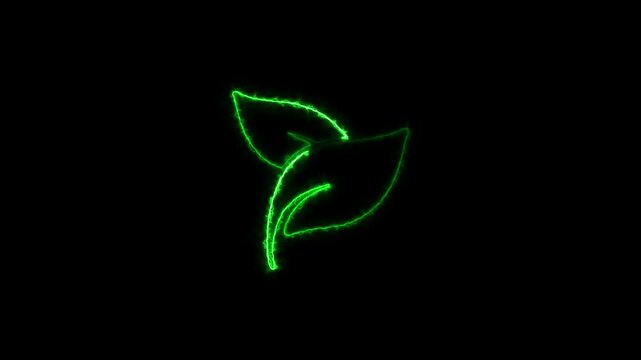 Glowing neon leaf icon animation. Leaves sign. Fresh natural product symbol.