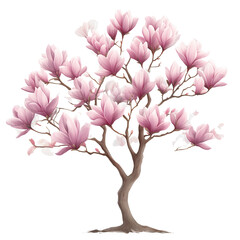 Obraz premium High-quality, vectorized image of a magnolia tree with pink flowers on a transparent background, png