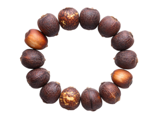 Breadnut Fruit Rich in Vibrant Earthy Tones