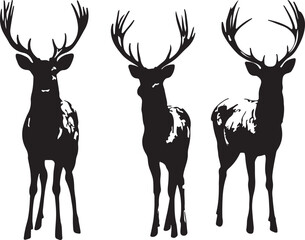 Silhouette Deer Vector Art: Three Antlered Stag Illustrations, Wildlife Animal Graphics, Black and White Design for Prints and Digital Projects