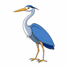  great blue heron white background