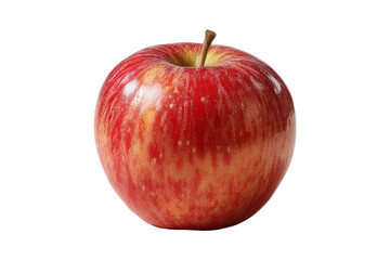 Healthy red apple kitchen photo