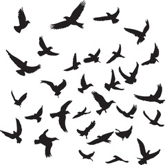 Flock of Birds Silhouette Vector Illustration: Flying Bird Silhouettes in Flight, Wildlife, Nature, Animal, Graphic Design Element, Black and White Art