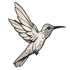 Obraz premium Hummingbird silhouette vector