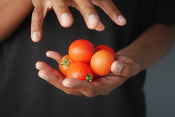 Hands holding freshly harvested tomatoes in natural light indoors