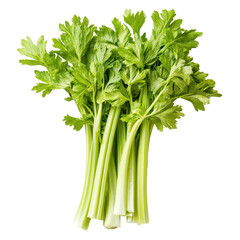 Fresh celery stalks displayed from a top view on a Transparent background for culinary use and healthy eating options, Top view of celery isolated on PNG background
